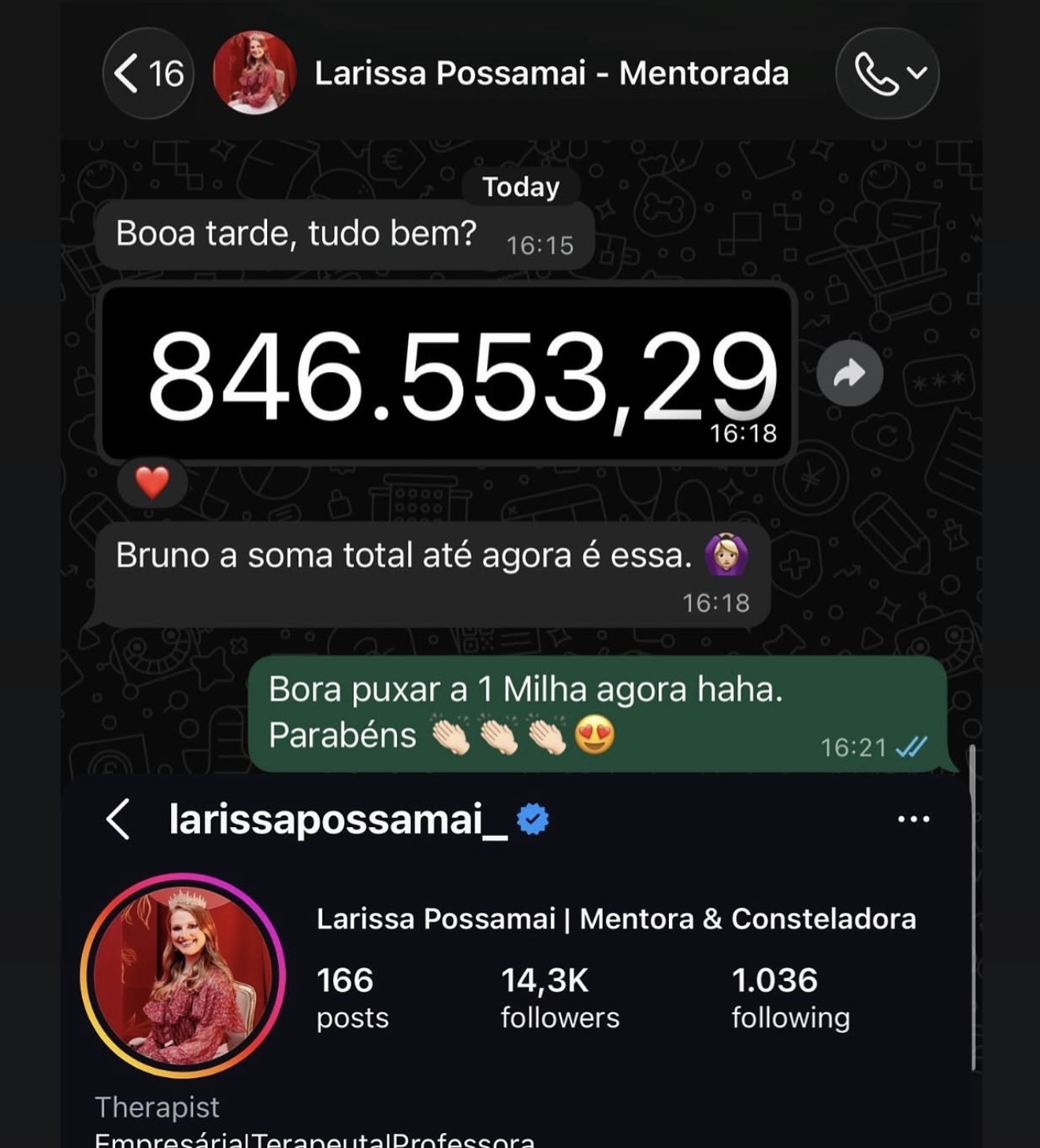 Conversa com Larissa Possamai e perfil do Instagram